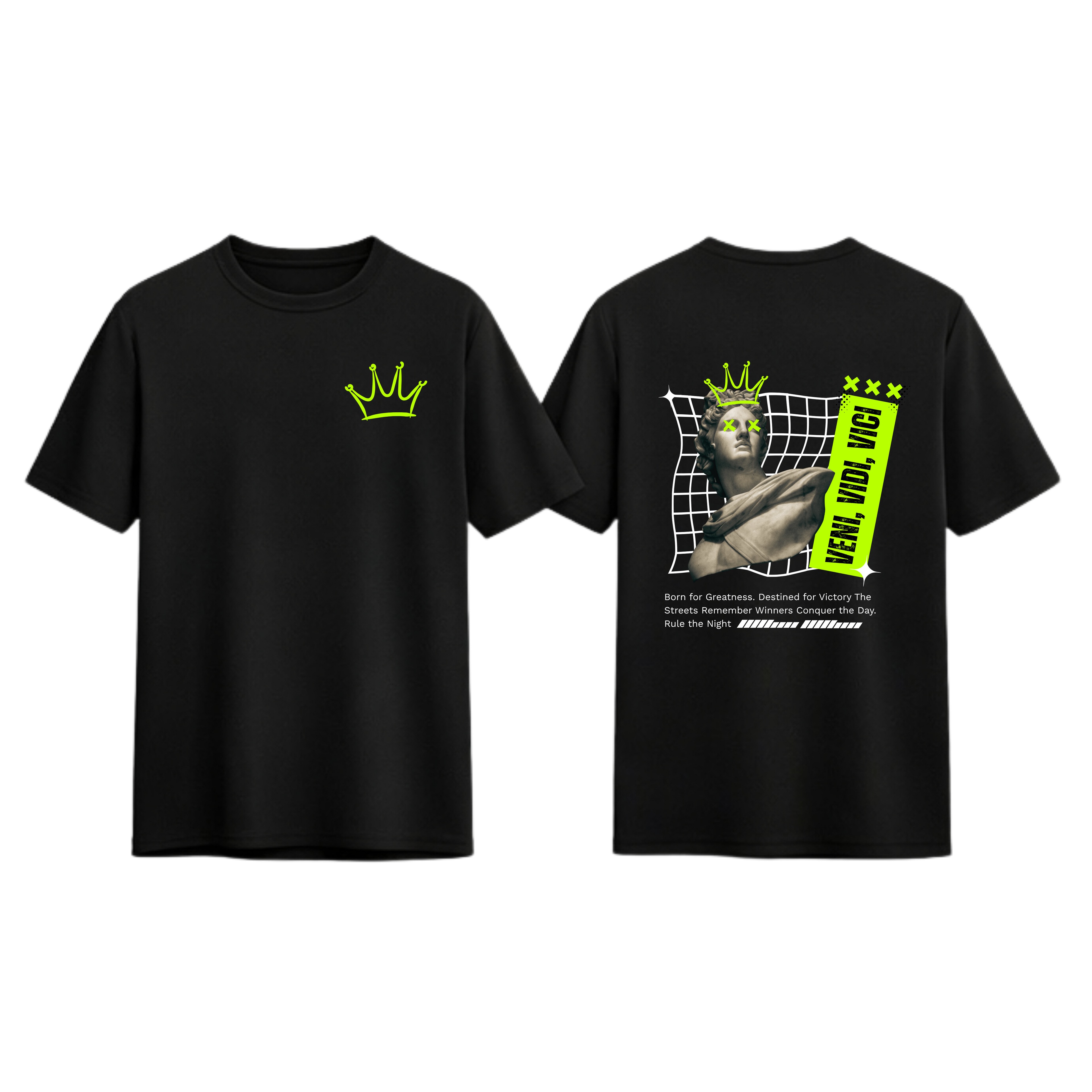 T-shirt ''Veni, vidi, vici''